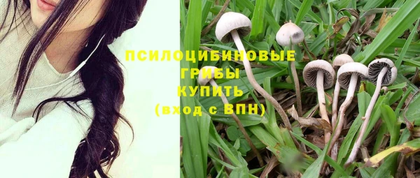 mdma Медногорск