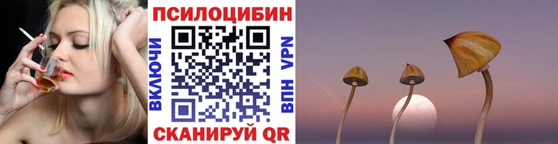 Псилоцибиновые грибы Psilocybe  Шарья 